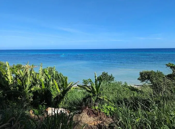 Oceanview W Pool Bar & Access Apartment